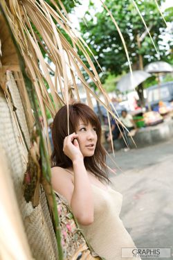 精美日产NV二线三线