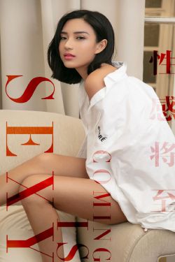 双子神偷