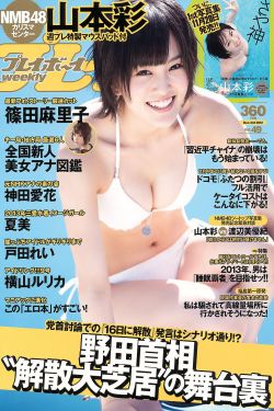 久久精彩视频